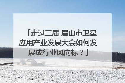 走过三届 眉山市卫星应用产业发展大会如何发展成行业风向标？