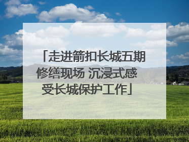 走进箭扣长城五期修缮现场 沉浸式感受长城保护工作