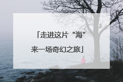 走进这片“海”来一场奇幻之旅