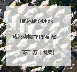 趴冰砖 泡水池！成都动物园里的消暑“凉”方丨图集