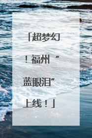 超梦幻！福州“蓝眼泪”上线！