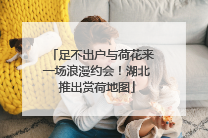 足不出户与荷花来一场浪漫约会！湖北推出赏荷地图