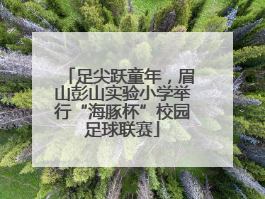 足尖跃童年，眉山彭山实验小学举行“海豚杯”校园足球联赛