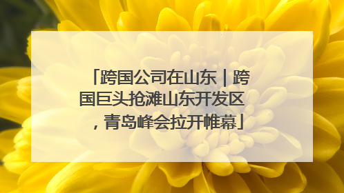 跨国公司在山东｜跨国巨头抢滩山东开发区，青岛峰会拉开帷幕