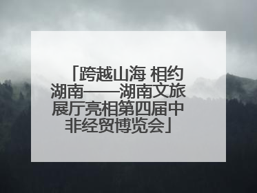跨越山海 相约湖南——湖南文旅展厅亮相第四届中非经贸博览会