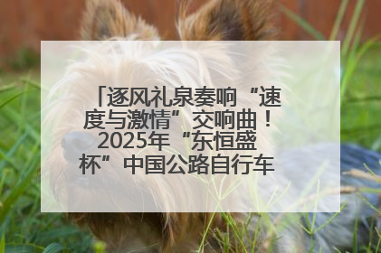 逐风礼泉奏响“速度与激情”交响曲！2025年“东恒盛杯”中国公路自行车联赛第五站（陕西·礼泉站）正式开赛