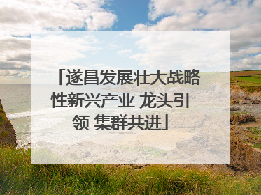 遂昌发展壮大战略性新兴产业 龙头引领 集群共进