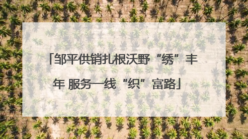 邹平供销扎根沃野“绣”丰年 服务一线“织”富路