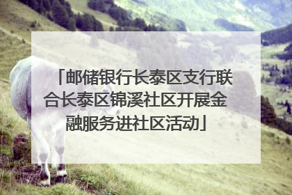 邮储银行长泰区支行联合长泰区锦溪社区开展金融服务进社区活动