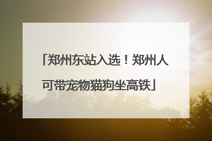 郑州东站入选！郑州人可带宠物猫狗坐高铁