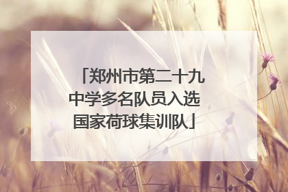 郑州市第二十九中学多名队员入选国家荷球集训队