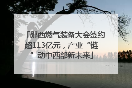 郧西燃气装备大会签约超113亿元，产业“链”动中西部新未来