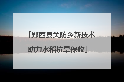 郧西县关防乡新技术助力水稻抗旱保收