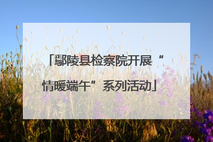 鄢陵县检察院开展“情暖端午”系列活动