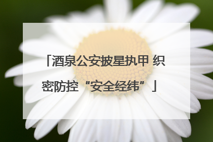 酒泉公安披星执甲 织密防控“安全经纬”