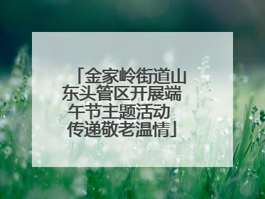 金家岭街道山东头管区开展端午节主题活动 传递敬老温情