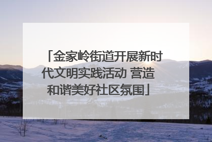 金家岭街道开展新时代文明实践活动 营造和谐美好社区氛围