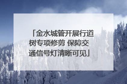 金水城管开展行道树专项修剪 保障交通信号灯清晰可见