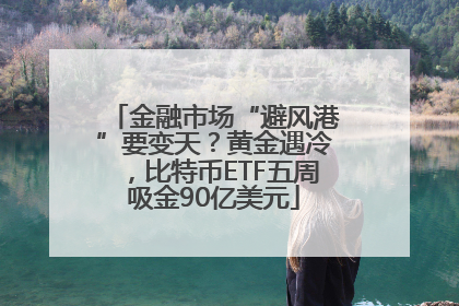 金融市场“避风港”要变天？黄金遇冷，比特币ETF五周吸金90亿美元