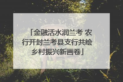 金融活水润兰考 农行开封兰考县支行共绘乡村振兴新画卷