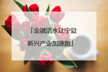 金融活水让宁夏新兴产业加速跑
