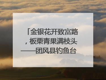 金银花开致富路，板栗青果满枝头——团风县钓鱼台村“山水生金”谱写共富新篇章