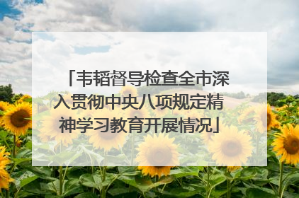 韦韬督导检查全市深入贯彻中央八项规定精神学习教育开展情况