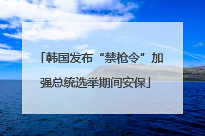 韩国发布“禁枪令”加强总统选举期间安保