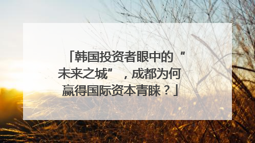 韩国投资者眼中的“未来之城”，成都为何赢得国际资本青睐？