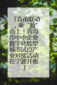 青甬联动，乘“数”而上！青岛市中小企业数字化转型城市试点产业对接活动在宁波开班