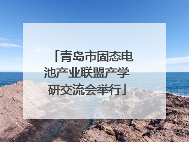 青岛市固态电池产业联盟产学研交流会举行