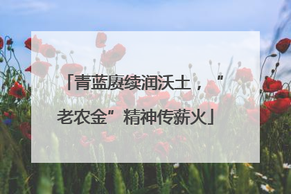 青蓝赓续润沃土，“老农金”精神传薪火