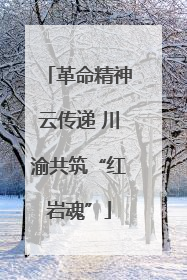 革命精神云传递 川渝共筑“红岩魂”