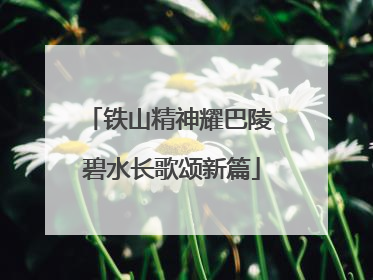 铁山精神耀巴陵 碧水长歌颂新篇