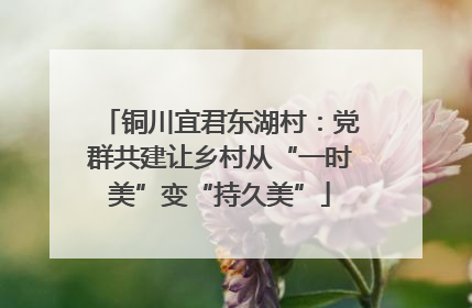 铜川宜君东湖村：党群共建让乡村从“一时美”变“持久美”