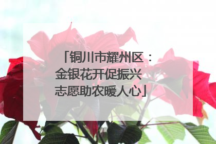 铜川市耀州区：金银花开促振兴 志愿助农暖人心