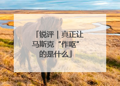 锐评｜真正让马斯克“作呕”的是什么