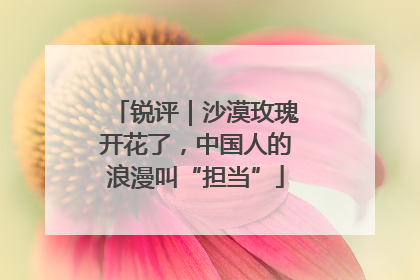 锐评｜沙漠玫瑰开花了，中国人的浪漫叫“担当”