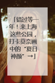 错过等一年！来上海这些公园，打卡莫奈画中的“夏日神颜”→