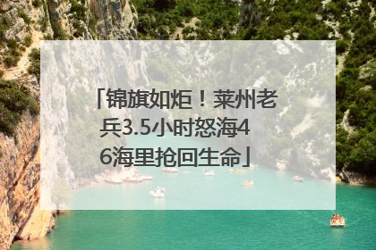 锦旗如炬！莱州老兵3.5小时怒海46海里抢回生命