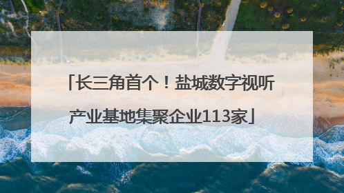 长三角首个！盐城数字视听产业基地集聚企业113家
