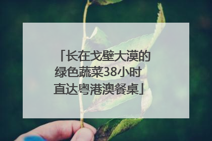 长在戈壁大漠的绿色蔬菜38小时直达粤港澳餐桌
