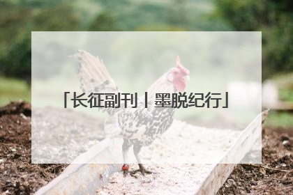 长征副刊丨墨脱纪行