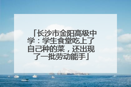 长沙市金阳高级中学：学生食堂吃上了自己种的菜，还出现了一批劳动能手