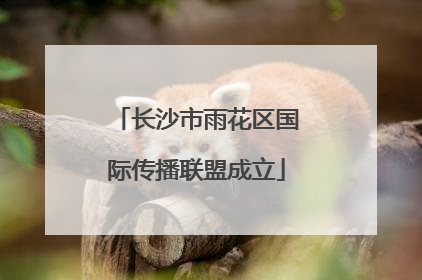 长沙市雨花区国际传播联盟成立