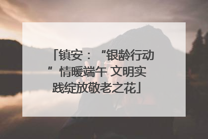 镇安：“银龄行动”情暖端午 文明实践绽放敬老之花