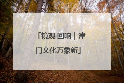 镜观·回响｜津门文化万象新