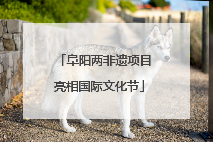 阜阳两非遗项目亮相国际文化节