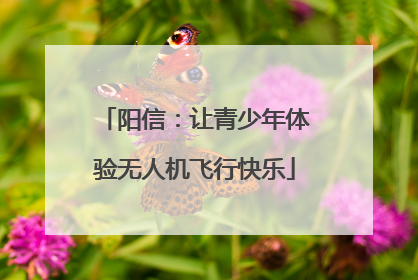 阳信：让青少年体验无人机飞行快乐