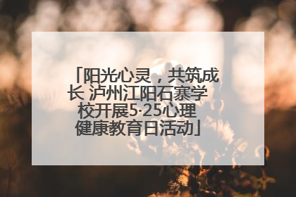 阳光心灵，共筑成长 泸州江阳石寨学校开展5·25心理健康教育日活动